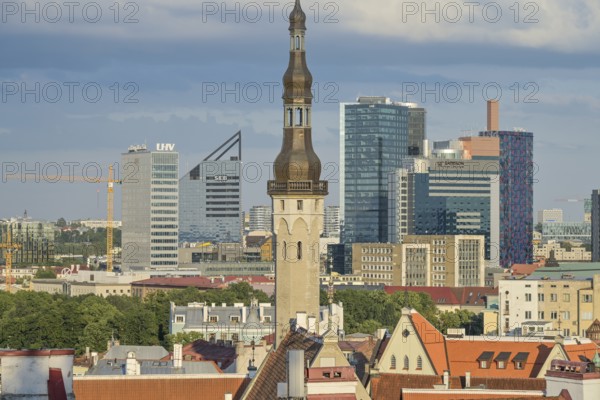 City panorama, old town with town hall tower in front, modern business district, skyscrapers, Tallinn, Estonia