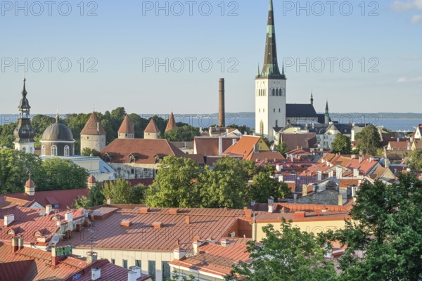 City panorama, St. Olaf's Church tower, view of the old town, Tallinn, Estonia