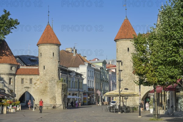 City wall, Viru Väravad clay gate, Old Town, Tallinn, Estonia