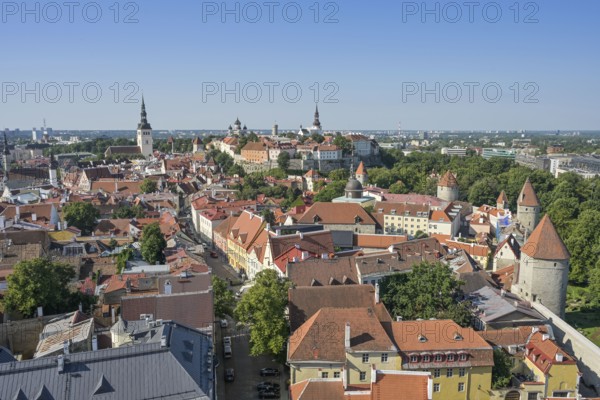 Old town, panorama, Toompea Cathedral Hill in the back, Tallinn, Estonia