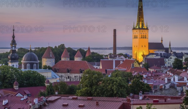 Evening city panorama, St. Olaf's Church on the right, view of the old town, Tallinn, Estonia