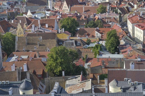 Roofs, houses in the old town, Tallinn, Estonia