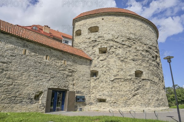 City wall, tower, Dicke Margarethe Paks Margareeta, Old Town, Tallinn, Estonia