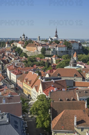Old town, panorama, Toompea Cathedral Hill in the back, Tallinn, Estonia