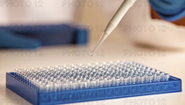 Droplet falls from pipette toward a blue 96-well plate, Pipette dispensing a liquid onto a multi-well plate in a clean laboratory, close up of medical equipment with blurred laboratory background, science, technology and health concept, AI generated