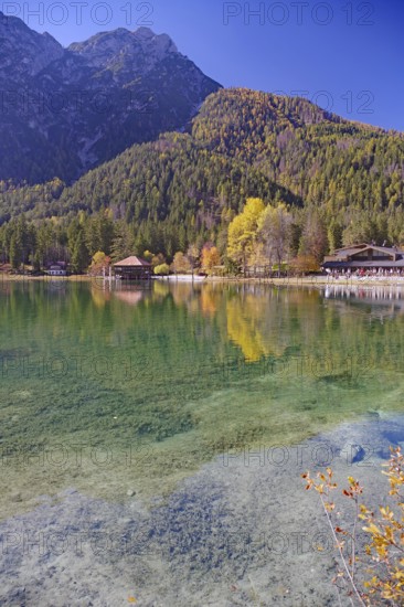 Emerald green, clear shore water with visible stones, colorful autumn trees and a boathouse are reflected in front of steep mountains, Lake Toblach, Lake Dobbiaco, South Tyrol, Italy