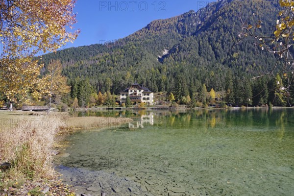 Wide shore with shallow, crystal-clear water, opposite is a villa in the sunshine in autumn forest, Lake Toblach, Lake Dobbiaco, South Tyrol, Italy