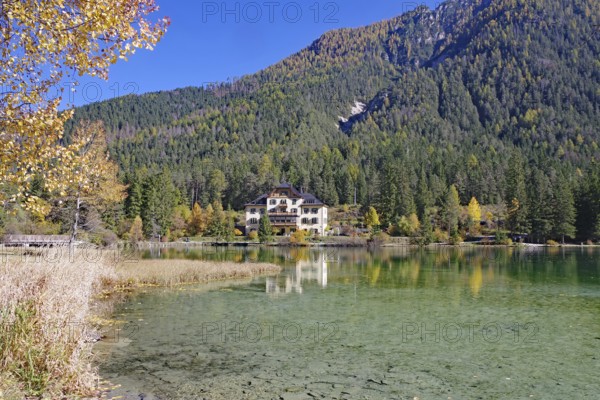 Clear shore water of an alpine lake, opposite is a villa reflected against colorful autumn forests under a deep blue sky, Lake Toblach, Lake Dobbiaco, South Tyrol, Italy