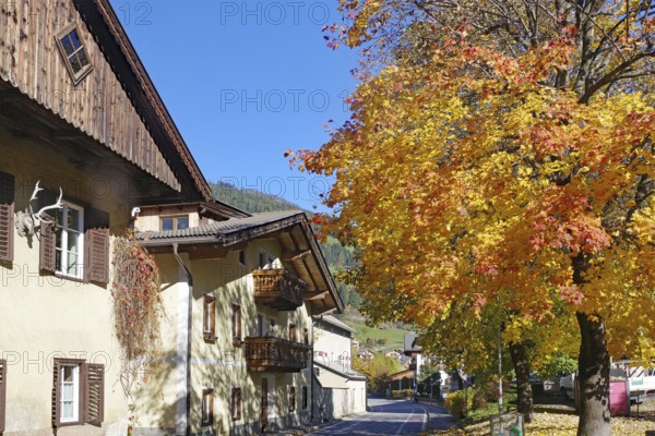 Sunny alpine village with traditional houses and bright autumn trees under a clear blue sky, Drava, Drau cycle path, South Tyrol, Italy