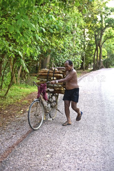 Cambodia, Siem Reap, Transport of wood with bicycle