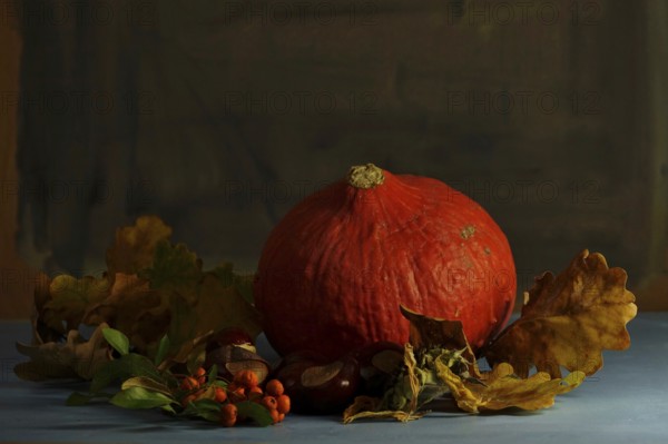 Autumn still life with pumpkin, October, Germany