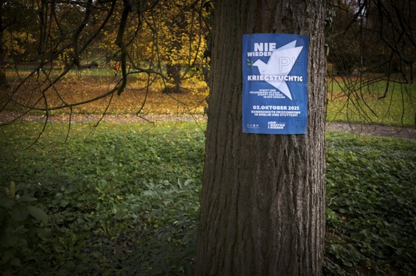 Poster on a tree trunk, call for a demonstration against war, peace demo, dove of peace, day of German unity, autumn leaves, leaves, main cemetery, autumn, Stuttgart, Baden-Württemberg, Germany