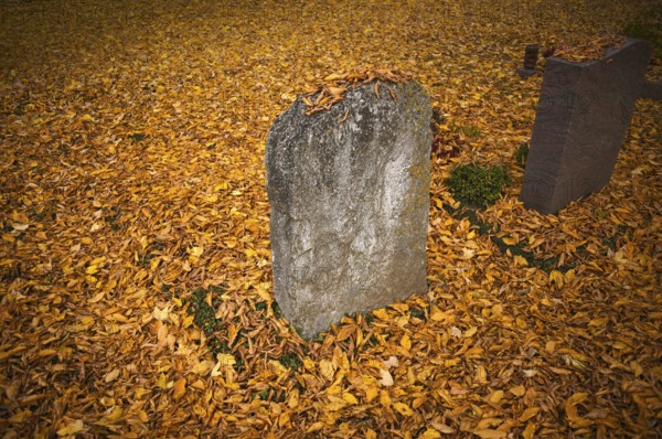 Grave, gäber, tombstone, overcast, full of autumn leaves, main cemetery, autumn, autumn mood, Stuttgart, Baden-Württemberg, Germany