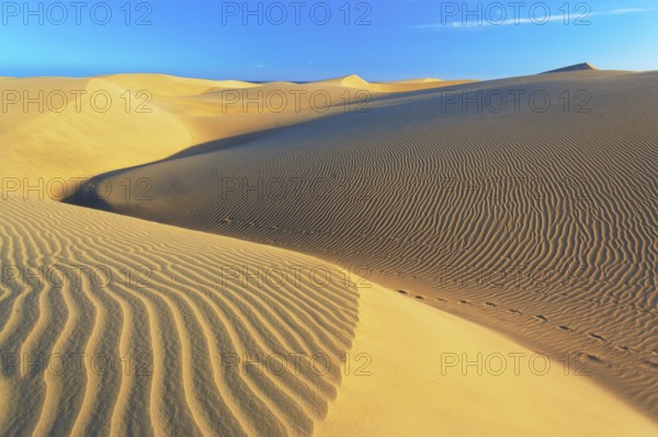 Sand dunes, Maspalomas, Playa del Ingles, Gran Canaria, Canary Islands, Spain