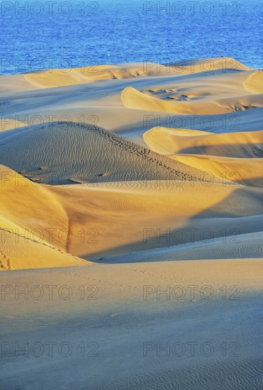 Sand dunes, Maspalomas, Playa del Ingles, Gran Canaria, Canary Islands, Spain