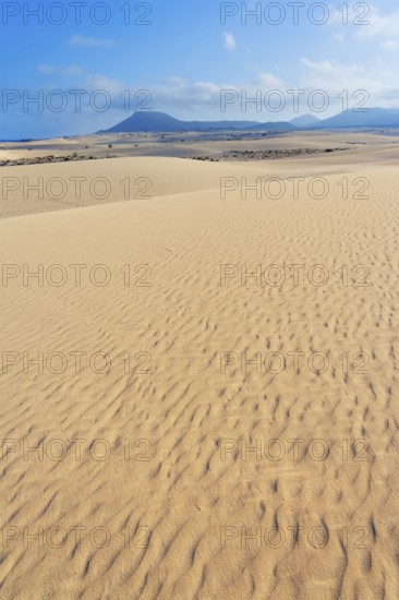 Corralejo Natural Park, Fuerteventura, Canary Islands, Spain