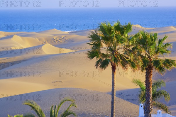 Maspalomas sandy dunes, Gran Canaria, Canary Islands, Spain