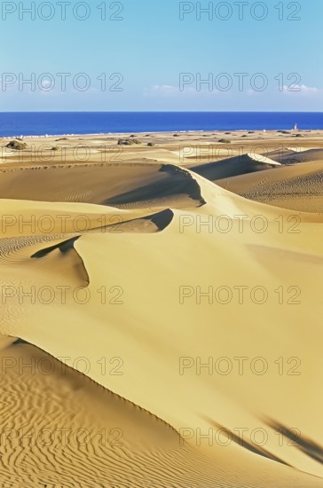 Sand dunes, Maspalomas, Playa del Ingles, Gran Canaria, Canary Islands, Spain