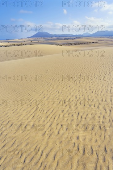 Parque Natural de Corralejo, Fuerteventura, Canary Islands, Spain