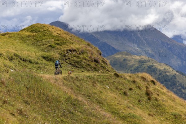 Mountain biker and Vizsla Rüde as trail dog, Passo Scimfuss, Airolo, Tessin, Switzerland