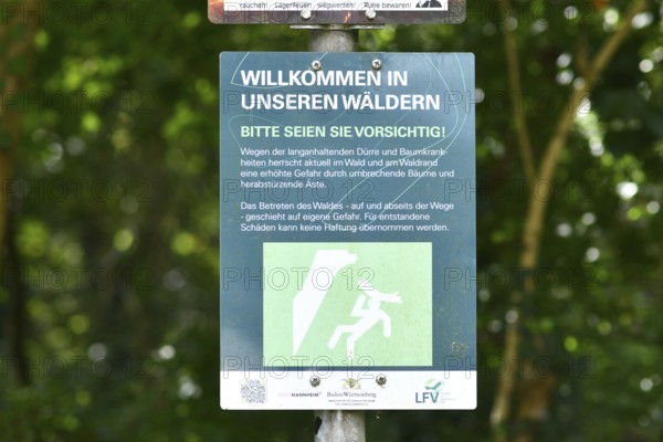 Mannheim, Germany - August 31st 2025: Warning sign at entrance of Dossenwald forest about danger of falling trees due to drought damage and tree diseases from climate change