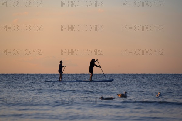 Two stand up paddlers on the Baltic Sea in the evening light, Ahrenshoop, Darß, Mecklenburg-Western Pomerania, Germany