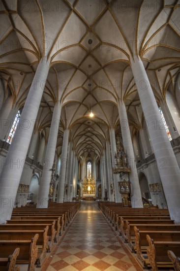 Interior of St. Martin Church, largest Gothic hall church in Upper Palatinate, Amberg, Upper Palatinate, Bavaria, Germany