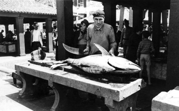 Bluefin tuna (Thunnus thynnus) fish market, Sicily, Italy, around 1920s