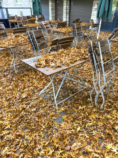 Autumn in town, beer garden, pub terrace under deciduous trees, swamp oak, floor and table chairs are covered with fallen leaves, Essen, North Rhine-Westphalia