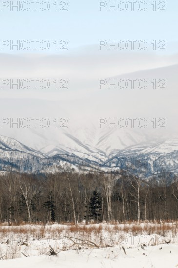 Japan, Hokkaido, Rausu, Mountains in winter Landscape, Hokkaido, North, East, Winter, (Paysage) Japan, 2017