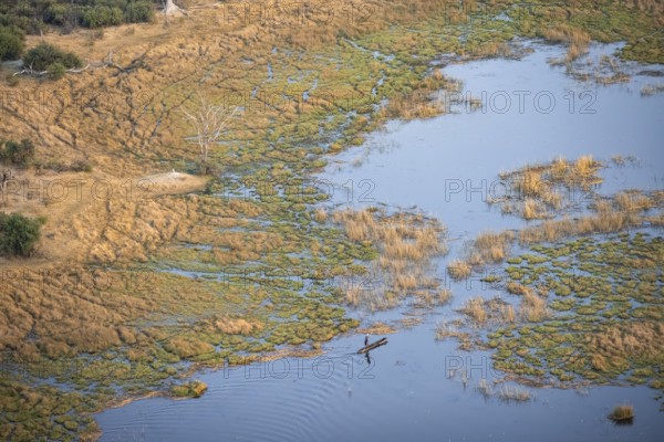 Marshland, marshland on a lake, Kavango fishermen with his Mokoro, aerial view, Okavango Delta, Botswana
