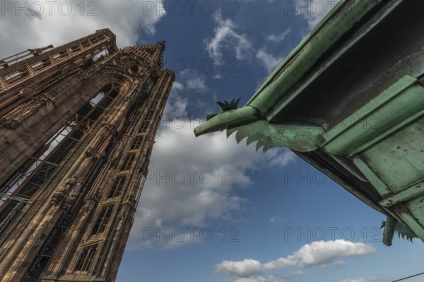 Strasbourg's Gothic cathedral stands majestically under a cloudy sky. In the background is an ornate and detailed iron gargoyle, which gives the scene a unique charm. Bas Rhin, Alsace, France
