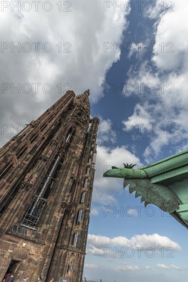 Strasbourg's Gothic cathedral stands majestically under a cloudy sky. In the background is an ornate and detailed iron gargoyle, which gives the scene a unique charm. Bas Rhin, Alsace, France