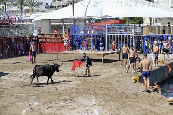 Bous a la Mar Fair, in English Bulls in the Sea, Bullfighting, Javea or Xàbia, Alicante Province, Comunidad Valenciana, Spain