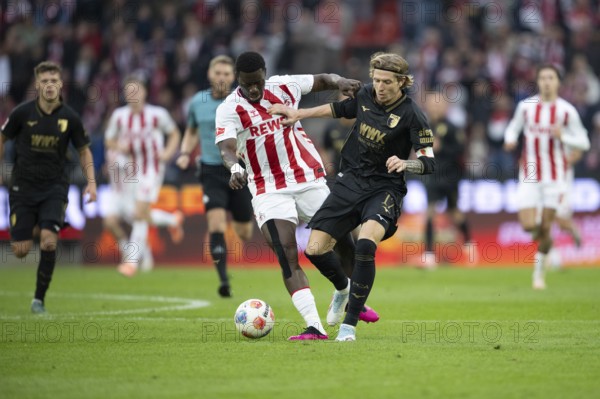 Ragnar Ache (1.FC Cologne, Storm, #9), Kristijan Jakic (FC Augsburg, Midfield, #17), COLOGNE, Germany - OCTOBER 18: During the Bundesliga match between FC Cologne vs. FC Augsburg at Rheinenergie-Stadion on matchday 8 of the 1st Bundesliga on October 18, 2025 in Cologne, Germany. DFL REGULATIONS PROHIBIT ANY USE OF PHOTOGRAPHS AS IMAGE SEQUENCES AND/OR QUASI-VIDEO, Rheinenergie-Stadion, Cologne, North Rhine-Westphalia, Germany
