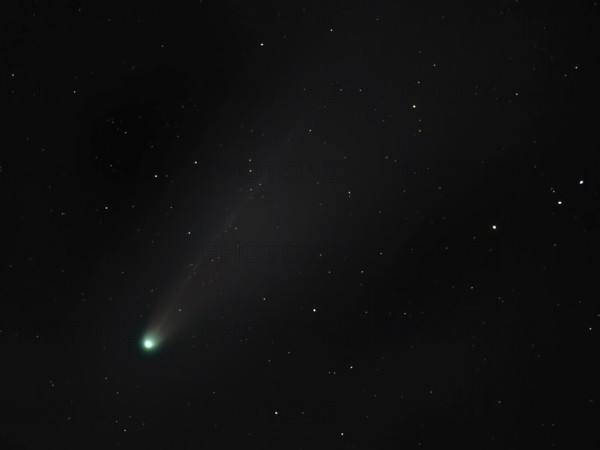 Comet Lemmon (C/2025 A6) in the night sky
