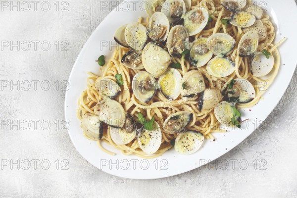 Spaghetti with vongole clams, in cream sauce, carbonara, on a white plate, homemade, top view, no people
