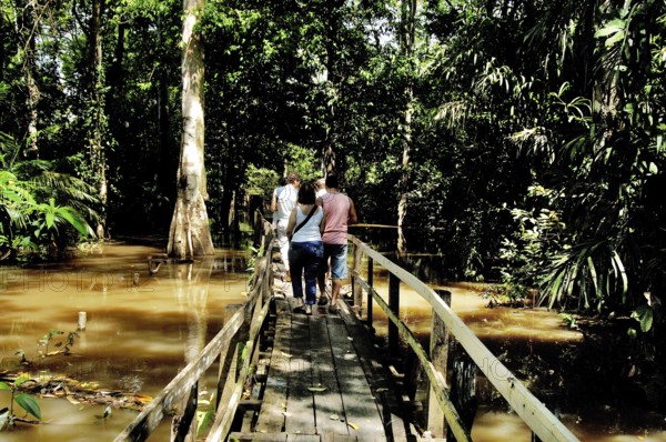 Parque Ecológico do Lago Janauari, Manaus, Amazonas, Brazil