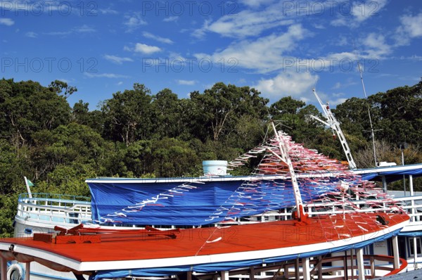 Parque Ecológico do Lago Janauari, Manaus, Amazonas, Brazil