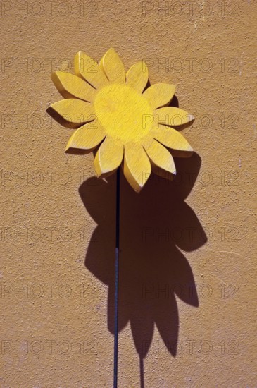 Flower, Craftmanship Wood, Santo Antônio do Pinhal, São Paulo, Brazil