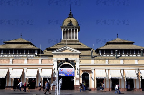 Center Market, Santiago, Chile