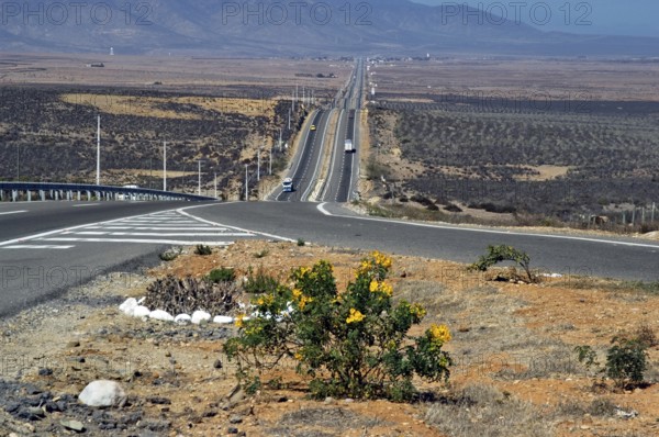 Panamericana road, Rute 5, Canela Baja, Chile