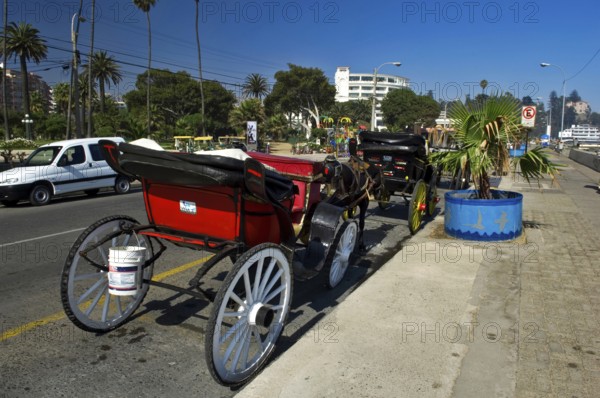 Carriage, Peru Avenue, Viña Del Mar, Chile