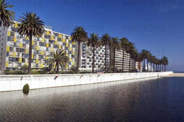 Estero Marga Marga, Viña Del Mar, Chile