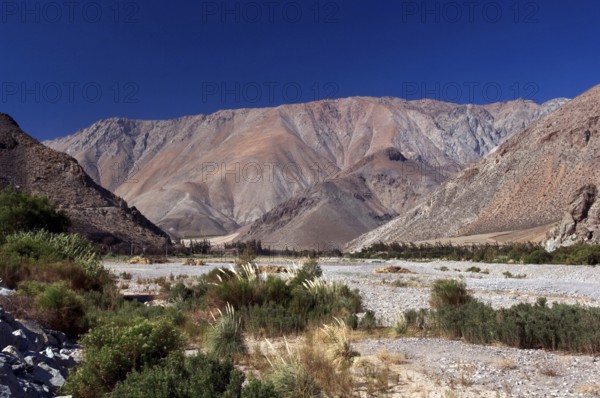 Quebrada Del Calvário, Vicuña, Chile