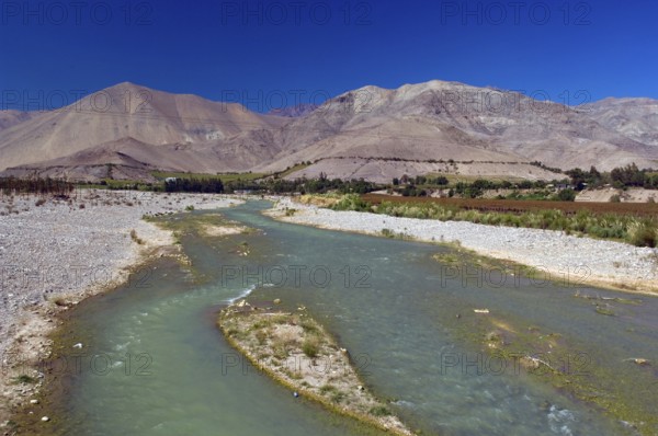 Grapes Plantation, Rio Cochigua, Vicuña, Chile