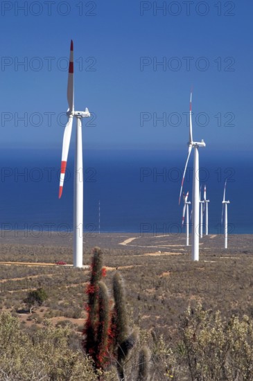 Eólico Park of Canela, Canela, Chile
