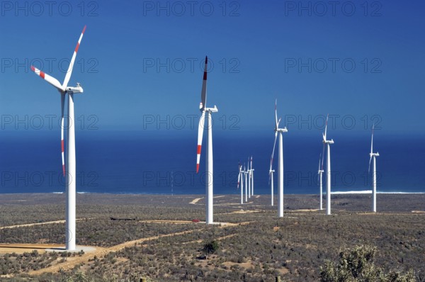 Eólico Park of Canela, Canela, Chile