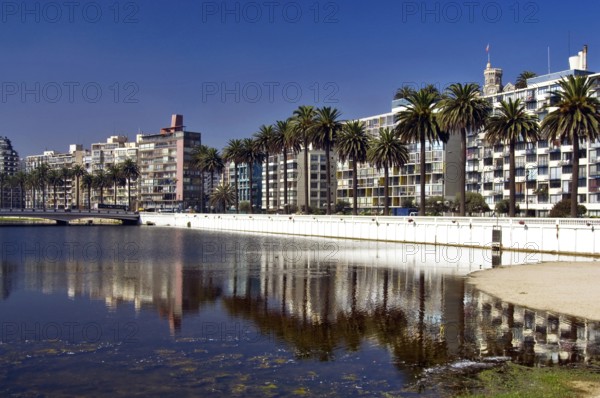 Estero Marga Marga, Viña Del Mar, Chile