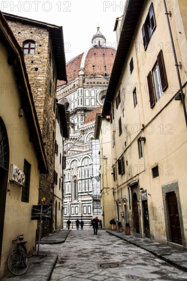 Street in historic center of Florence. Florence, Province of Florence, Italy